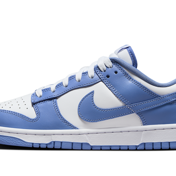 Dunk Low "Polar Blue / White" DV0833 400