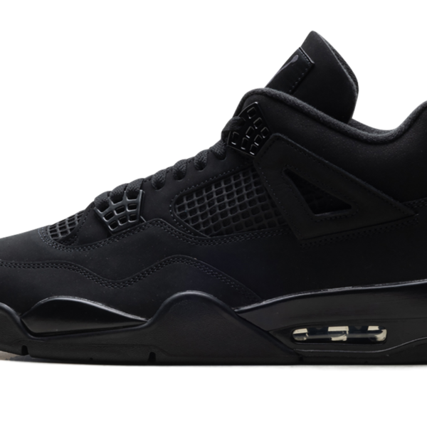 Air Jordan 4 "Black Cat 2025" FV5029 010