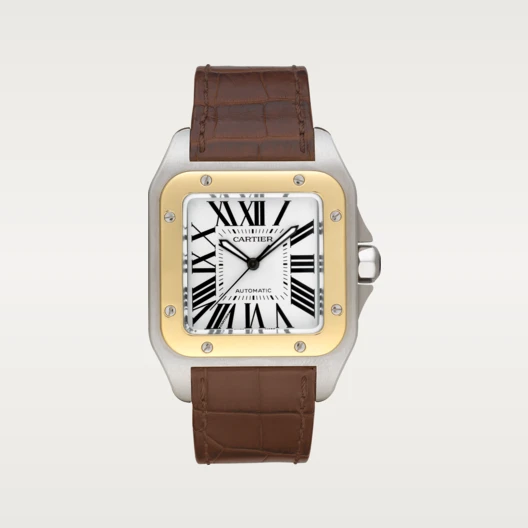 CARTIER SANTOS Classic Silver 35mm