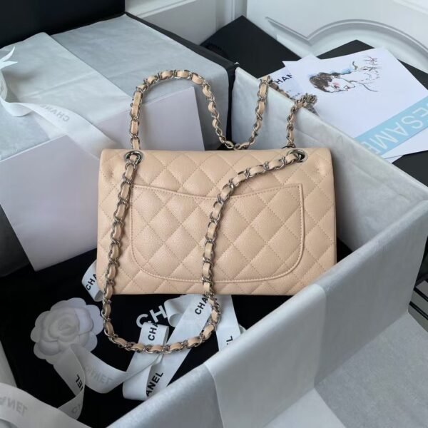 Chanel Small Classic Handbag Caviar Silver Hardware