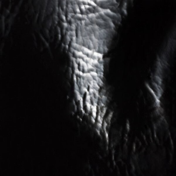 IVY leather patchwork bag