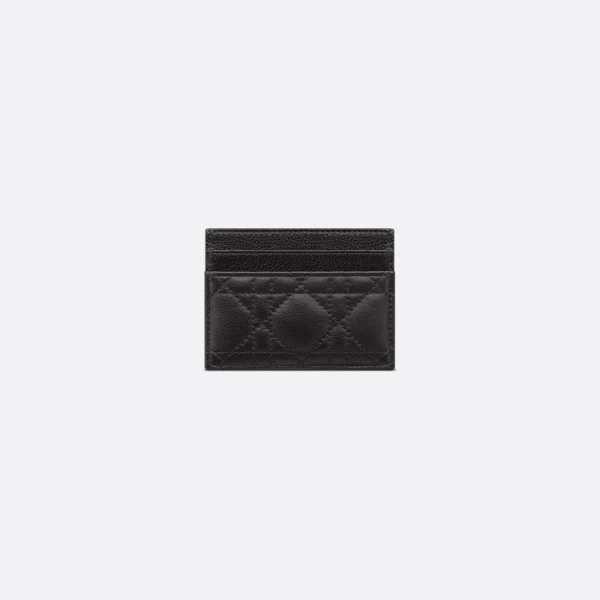 Dior Caro Every Dior Pouch