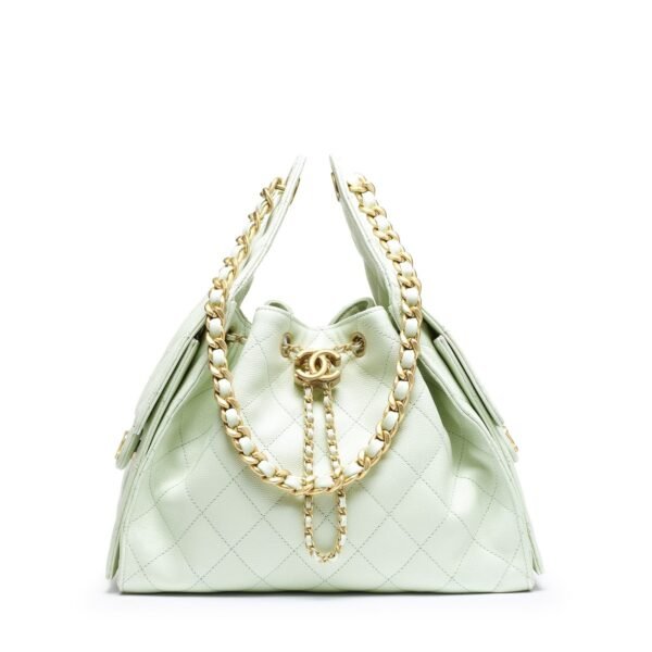 CHANEL 25 Small Handbag