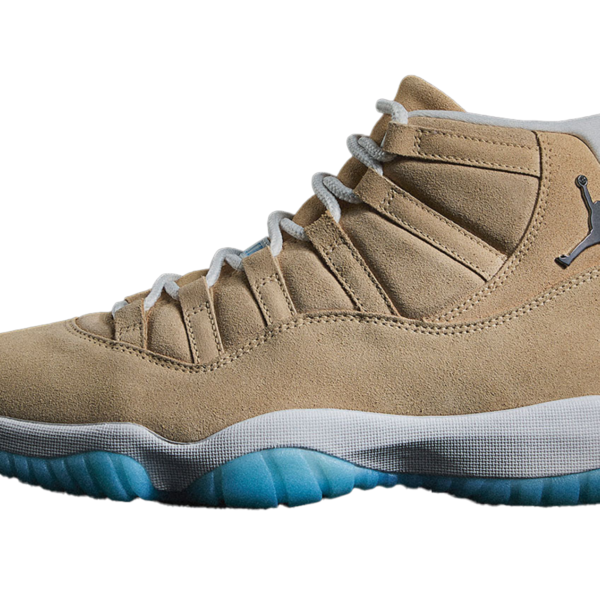 Air Jordan 11 "H-Town" IO8960 707