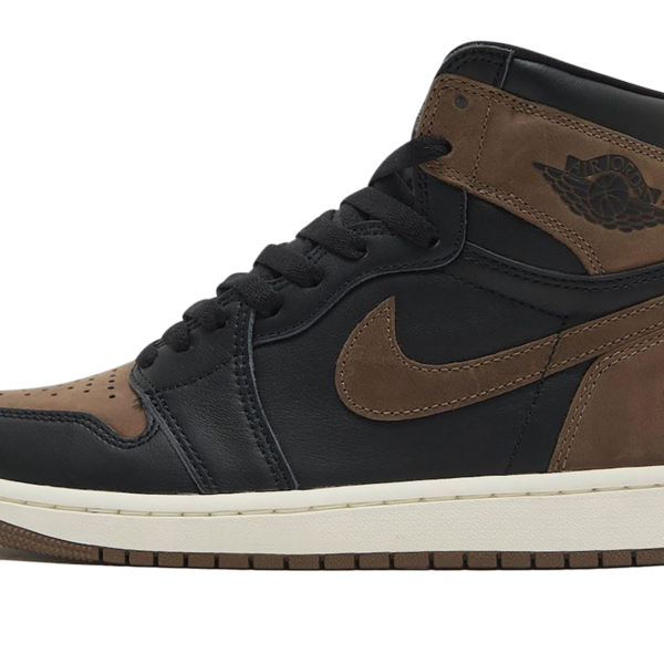 Air Jordan 1 Retro High OG "Palomino" DZ5485 020