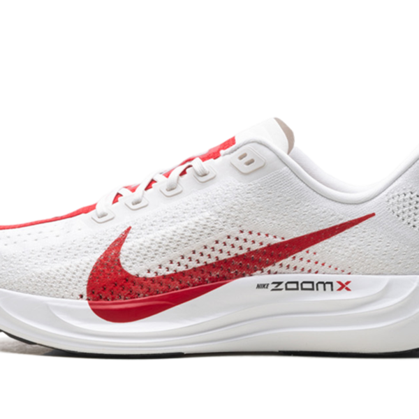 Pegasus Plus "Platinum Tint University Red" FQ7262 003