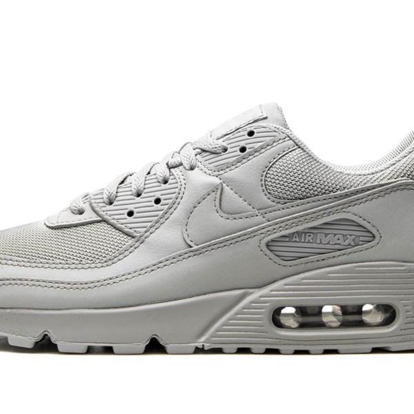 Air Max 90 "Wolf Grey" CN8490 001