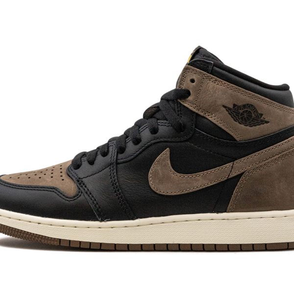 Air Jordan 1 Retro High OG GS "Palomino" FD1437 020